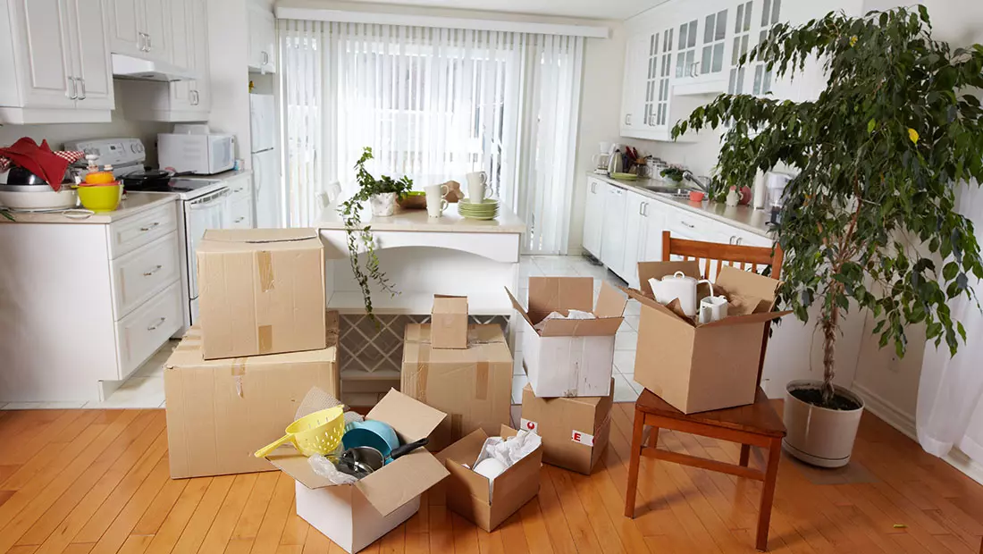 What you need to own for your first apartment