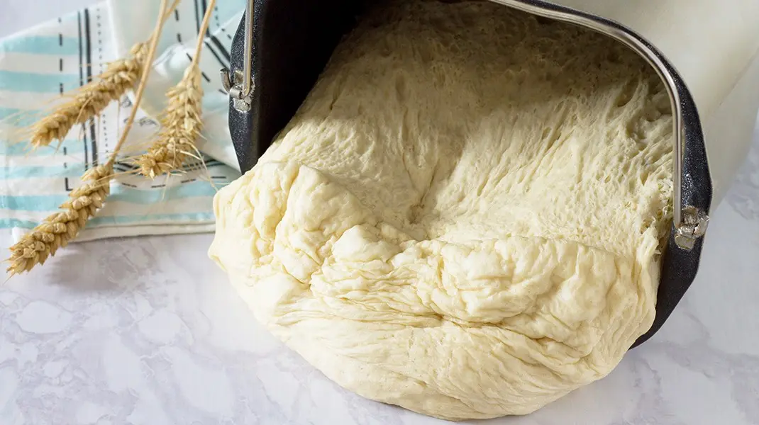 Bread dough maker deals